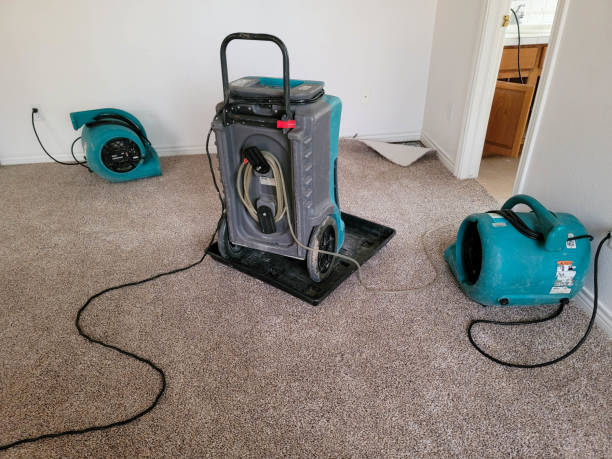 Best Water damage contractors near me  in Suncook, NH