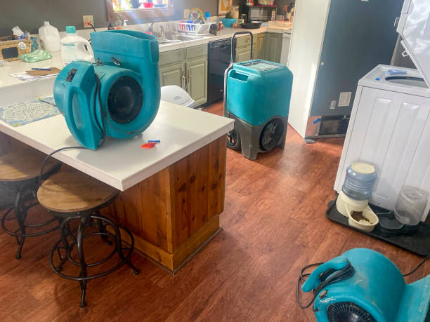 Best Water damage restoration company  in Suncook, NH