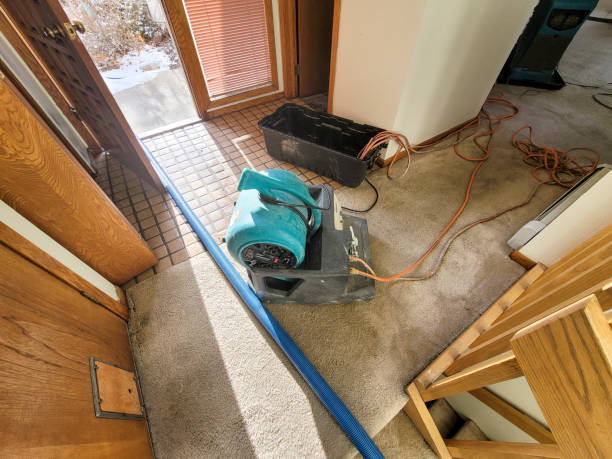 Water damage restoration insurance claims in NH