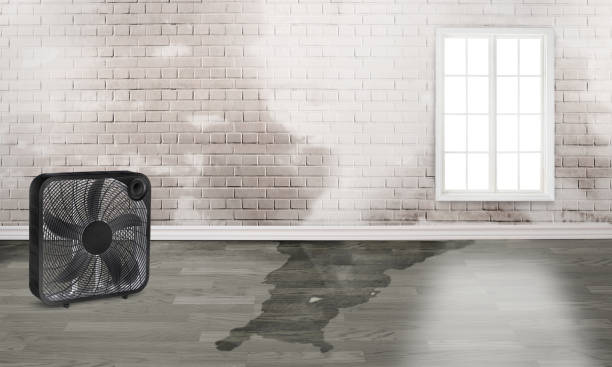 Best Water damage contractors near me  in Suncook, NH