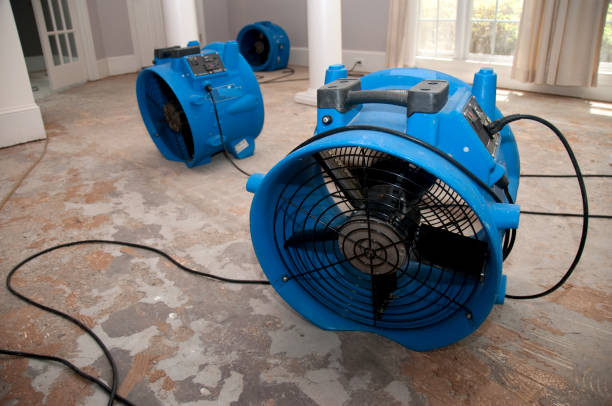 Best Professional water damage repair  in Suncook, NH