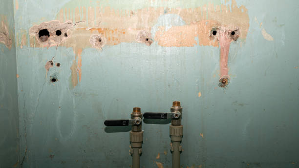 Best Flood damage cleanup  in Suncook, NH