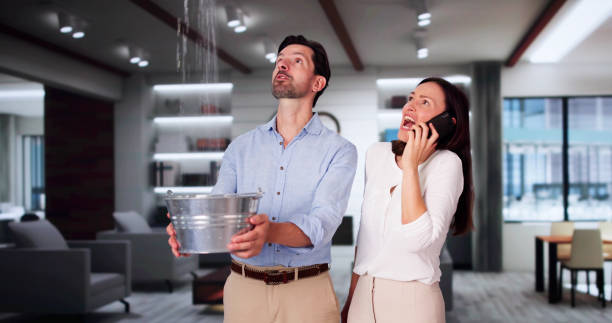 Best Ceiling water damage repair  in Suncook, NH